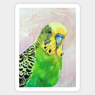 Dean, the green Budgie Sticker